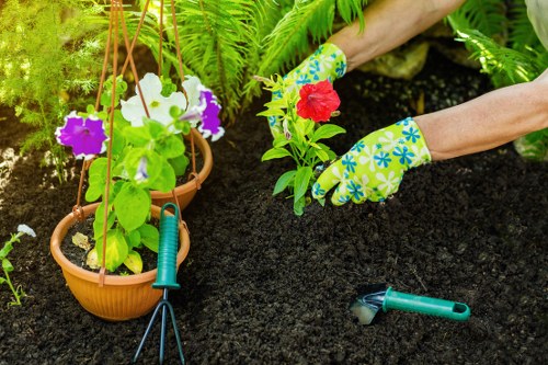 Photograph of a gardener working in a Heston neighborhood garden