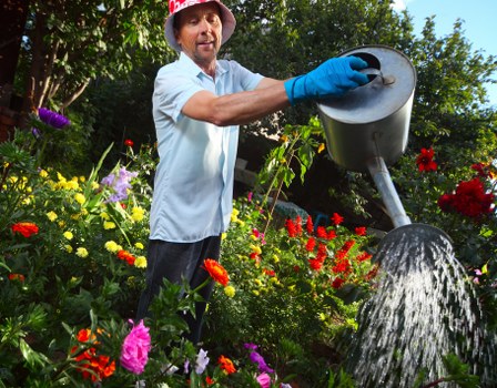 Weed control and garden maintenance