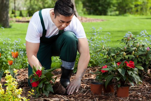 Eco-friendly garden clearing practices