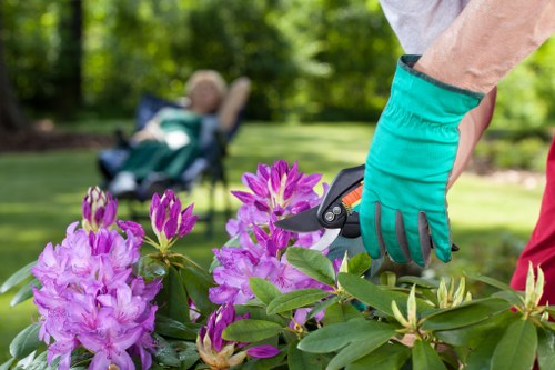 Comprehensive garden clearance services