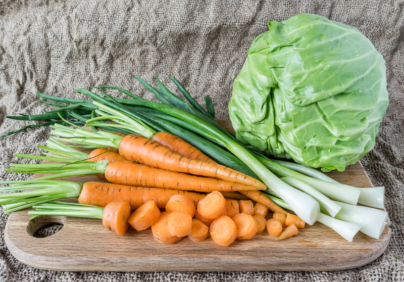 lawn care irrigation system