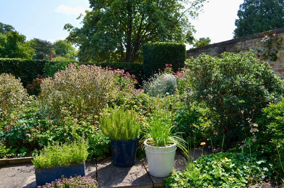 A garden scene showing a neatly maintained lawn with short, green grass bordered by garden beds containing flowering plants and shrubs. In the background, there is a trimmed hedge neatly lining a pave